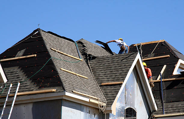 Best Storm Damage Roof Repair  in Collinwood, TN