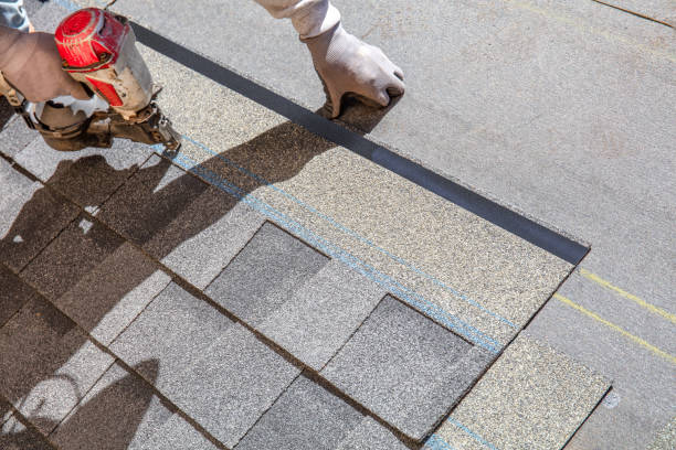 Best Metal Roofing Contractor  in Collinwood, TN